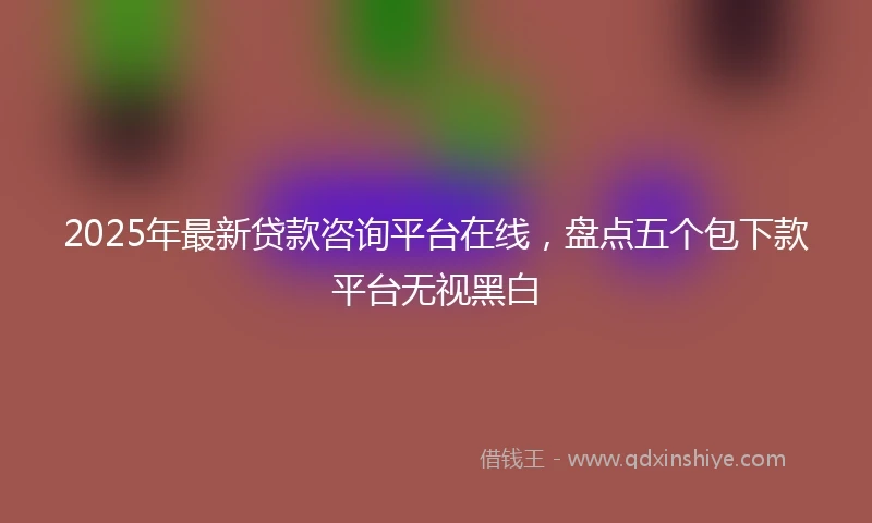 2025年最新贷款咨询平台在线，盘点五个包下款平台无视黑白