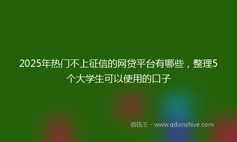 2025年热门不上征信的网贷平台有哪些，整理5个大学生可以使用的口子