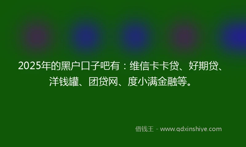 2025年的黑户口子吧有：维信卡卡贷、好期贷、洋钱罐、团贷网、度小满金融等。
