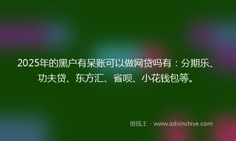 2025年的黑户有呆账可以做网贷吗有：分期乐、功夫贷、东方汇、省呗、小花钱包等。
