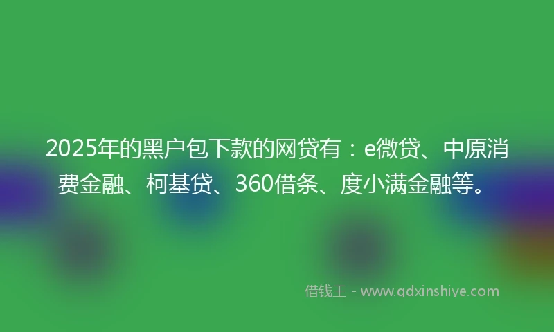 2025年的黑户包下款的网贷有：e微贷、中原消费金融、柯基贷、360借条、度小满金融等。