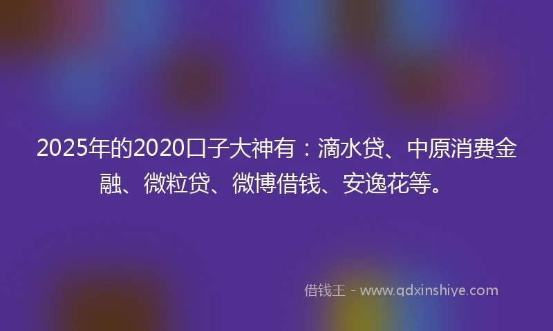 2025年的2020口子大神有：滴水贷、中原消费金融、微粒贷、微博借钱、安逸花等。