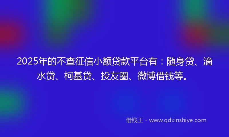 2025年的不查征信小额贷款平台有：随身贷、滴水贷、柯基贷、投友圈、微博借钱等。