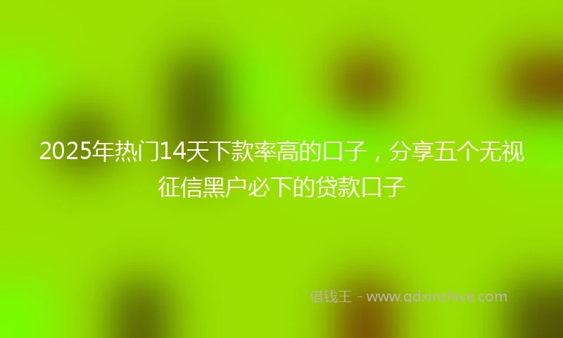 2025年热门14天下款率高的口子，分享五个无视征信黑户必下的贷款口子