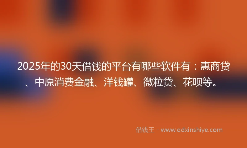 2025年的30天借钱的平台有哪些软件有：惠商贷、中原消费金融、洋钱罐、微粒贷、花呗等。