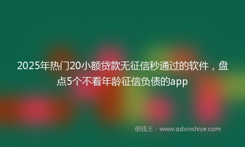 2025年热门20小额贷款无征信秒通过的软件，盘点5个不看年龄征信负债的app