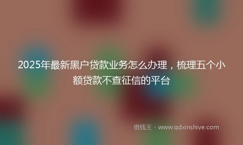 2025年最新黑户贷款业务怎么办理，梳理五个小额贷款不查征信的平台