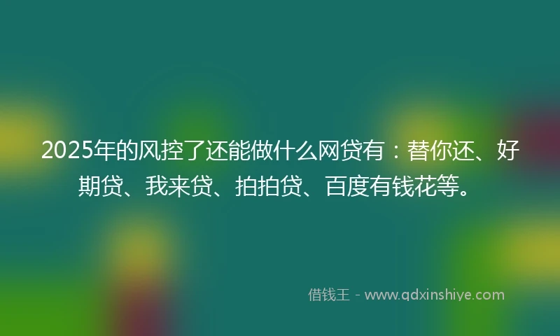 2025年的风控了还能做什么网贷有：替你还、好期贷、我来贷、拍拍贷、百度有钱花等。