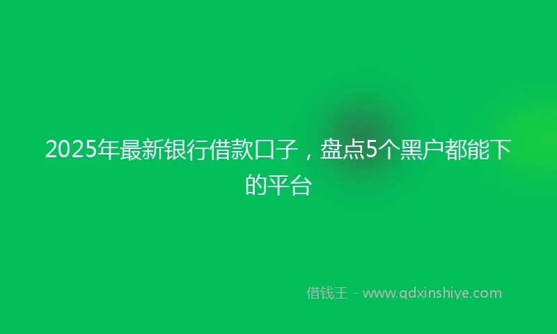 2025年最新银行借款口子，盘点5个黑户都能下的平台