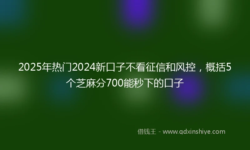 2025年热门2024新口子不看征信和风控，概括5个芝麻分700能秒下的口子