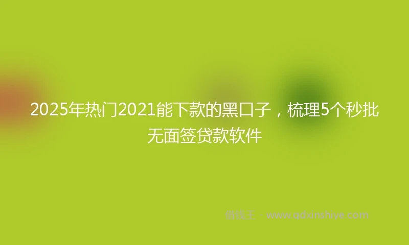 2025年热门2021能下款的黑口子，梳理5个秒批无面签贷款软件