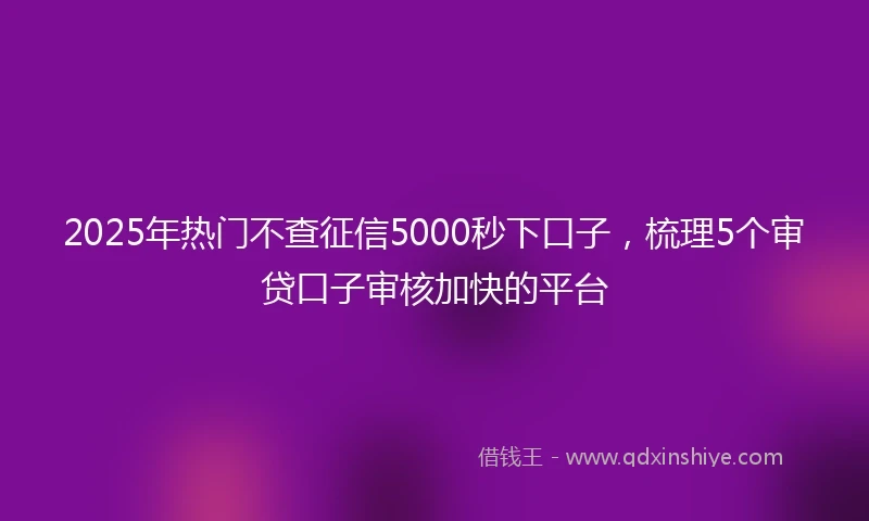 2025年热门不查征信5000秒下口子，梳理5个审贷口子审核加快的平台