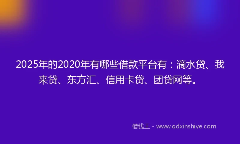 2025年的2020年有哪些借款平台有：滴水贷、我来贷、东方汇、信用卡贷、团贷网等。