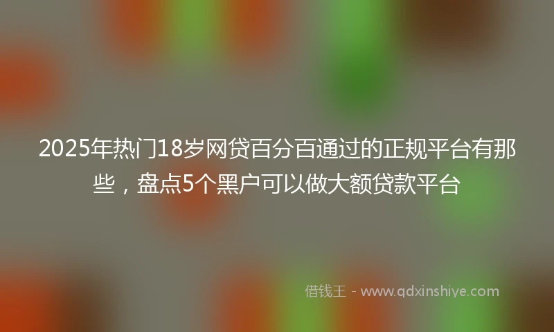 2025年热门18岁网贷百分百通过的正规平台有那些，盘点5个黑户可以做大额贷款平台