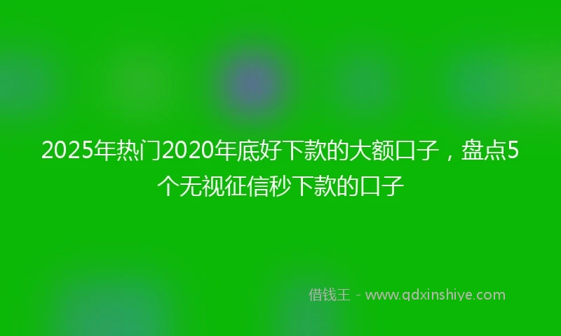 2025年热门2020年底好下款的大额口子，盘点5个无视征信秒下款的口子