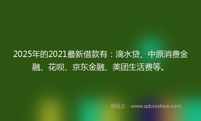 2025年的2021最新借款有：滴水贷、中原消费金融、花呗、京东金融、美团生活费等。