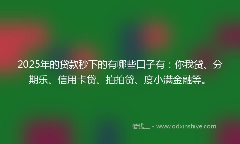 2025年的贷款秒下的有哪些口子有：你我贷、分期乐、信用卡贷、拍拍贷、度小满金融等。