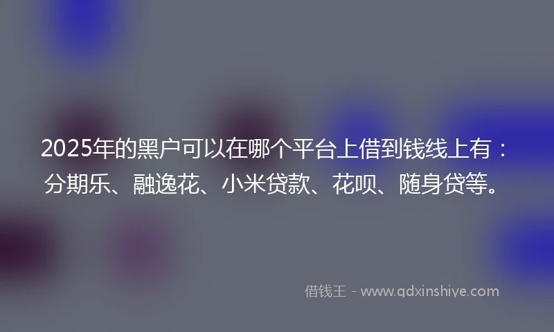 2025年的黑户可以在哪个平台上借到钱线上有：分期乐、融逸花、小米贷款、花呗、随身贷等。