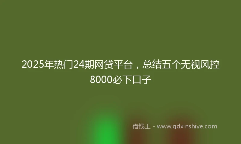 2025年热门24期网贷平台，总结五个无视风控8000必下口子