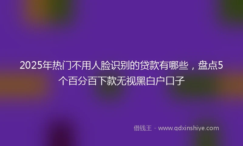 2025年热门不用人脸识别的贷款有哪些，盘点5个百分百下款无视黑白户口子