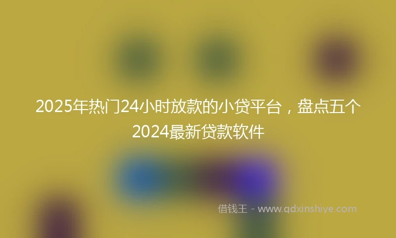 2025年热门24小时放款的小贷平台，盘点五个2024最新贷款软件