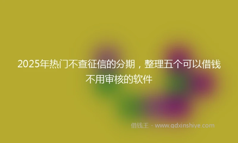2025年热门不查征信的分期，整理五个可以借钱不用审核的软件
