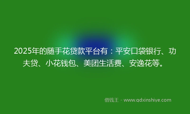 2025年的随手花贷款平台有：平安口袋银行、功夫贷、小花钱包、美团生活费、安逸花等。