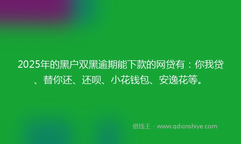 2025年的黑户双黑逾期能下款的网贷有：你我贷、替你还、还呗、小花钱包、安逸花等。