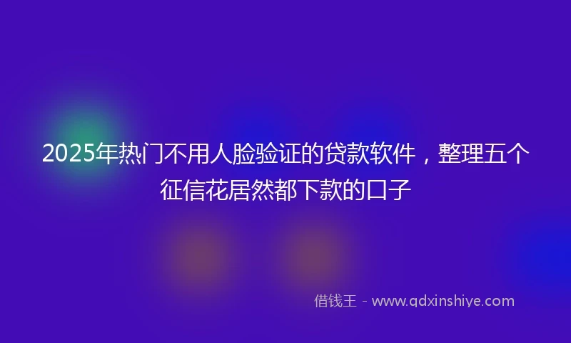 2025年热门不用人脸验证的贷款软件，整理五个征信花居然都下款的口子