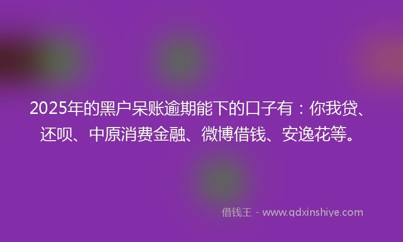 2025年的黑户呆账逾期能下的口子有：你我贷、还呗、中原消费金融、微博借钱、安逸花等。