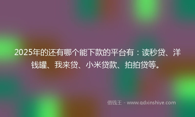 2025年的还有哪个能下款的平台有：读秒贷、洋钱罐、我来贷、小米贷款、拍拍贷等。