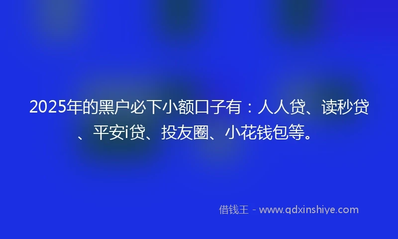 2025年的黑户必下小额口子有：人人贷、读秒贷、平安i贷、投友圈、小花钱包等。