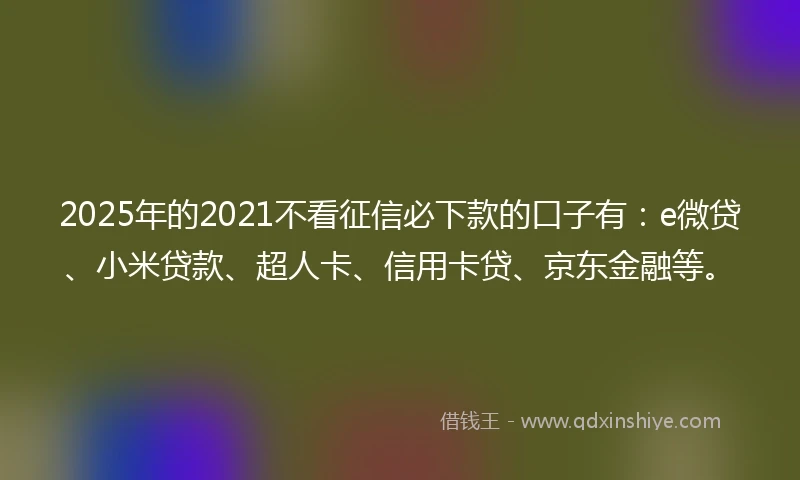 2025年的2021不看征信必下款的口子有：e微贷、小米贷款、超人卡、信用卡贷、京东金融等。