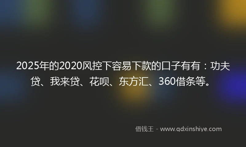 2025年的2020风控下容易下款的口子有有：功夫贷、我来贷、花呗、东方汇、360借条等。