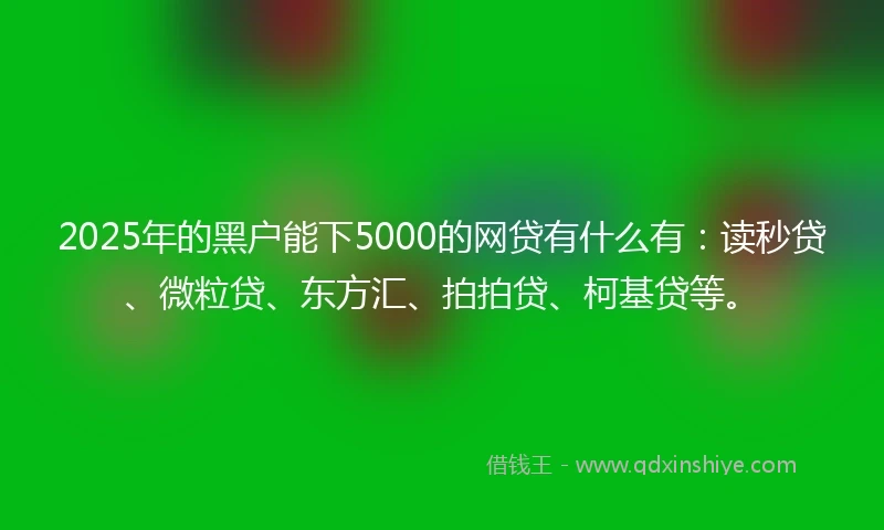 2025年的黑户能下5000的网贷有什么有：读秒贷、微粒贷、东方汇、拍拍贷、柯基贷等。