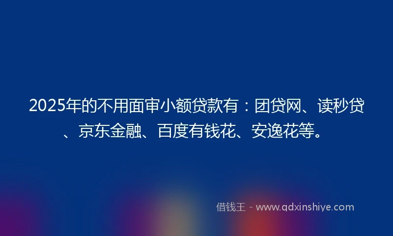 2025年的不用面审小额贷款有：团贷网、读秒贷、京东金融、百度有钱花、安逸花等。
