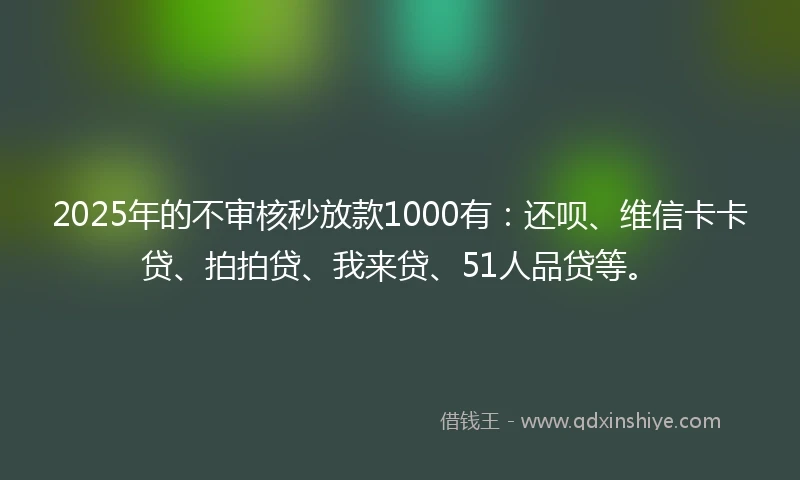 2025年的不审核秒放款1000有：还呗、维信卡卡贷、拍拍贷、我来贷、51人品贷等。