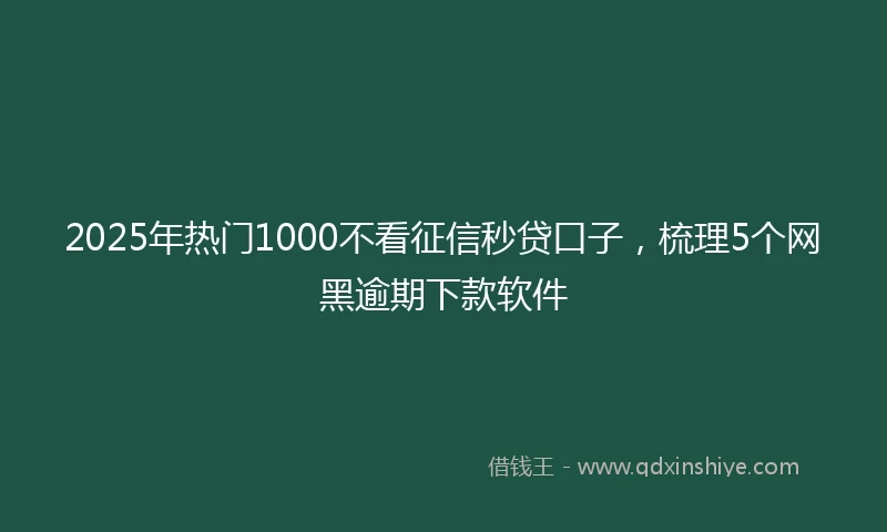 2025年热门1000不看征信秒贷口子，梳理5个网黑逾期下款软件