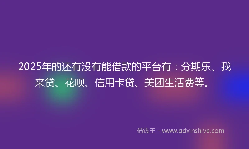 2025年的还有没有能借款的平台有：分期乐、我来贷、花呗、信用卡贷、美团生活费等。