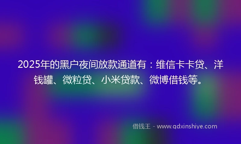 2025年的黑户夜间放款通道有：维信卡卡贷、洋钱罐、微粒贷、小米贷款、微博借钱等。