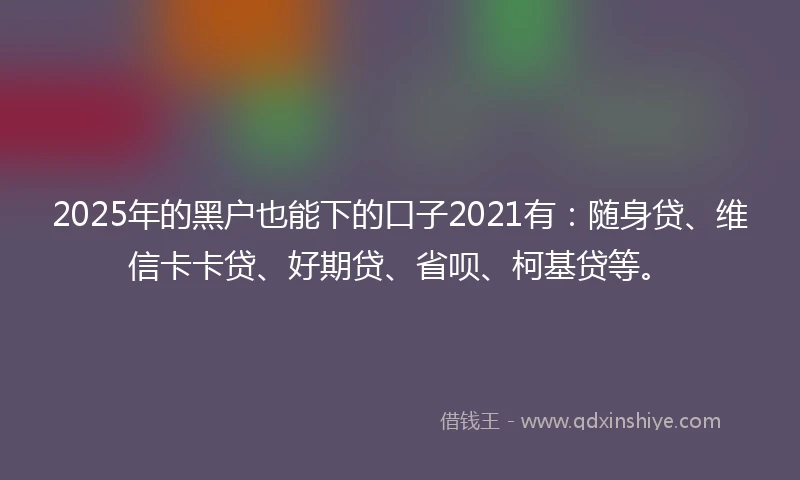 2025年的黑户也能下的口子2021有：随身贷、维信卡卡贷、好期贷、省呗、柯基贷等。