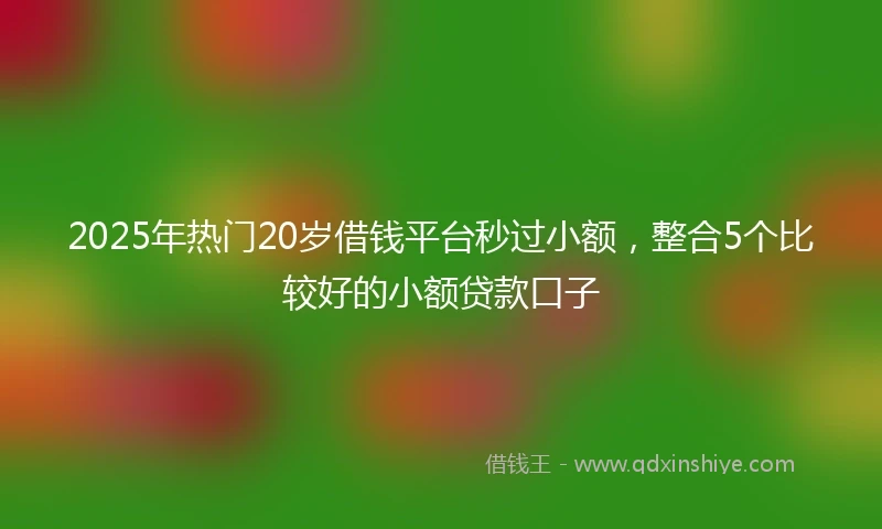 2025年热门20岁借钱平台秒过小额，整合5个比较好的小额贷款口子