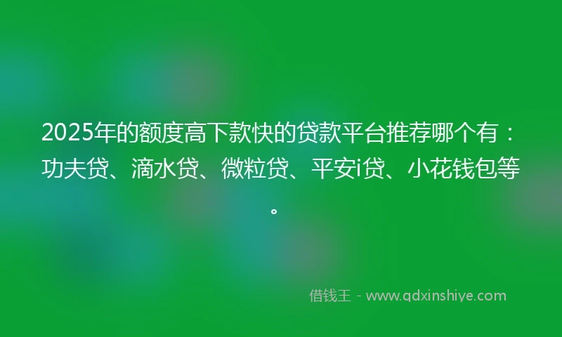 2025年的额度高下款快的贷款平台推荐哪个有：功夫贷、滴水贷、微粒贷、平安i贷、小花钱包等。