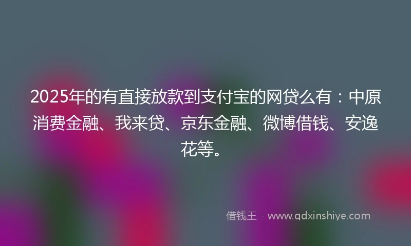 2025年的有直接放款到支付宝的网贷么有：中原消费金融、我来贷、京东金融、微博借钱、安逸花等。