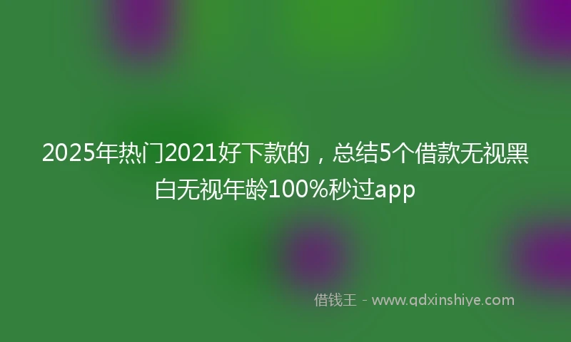 2025年热门2021好下款的，总结5个借款无视黑白无视年龄100%秒过app