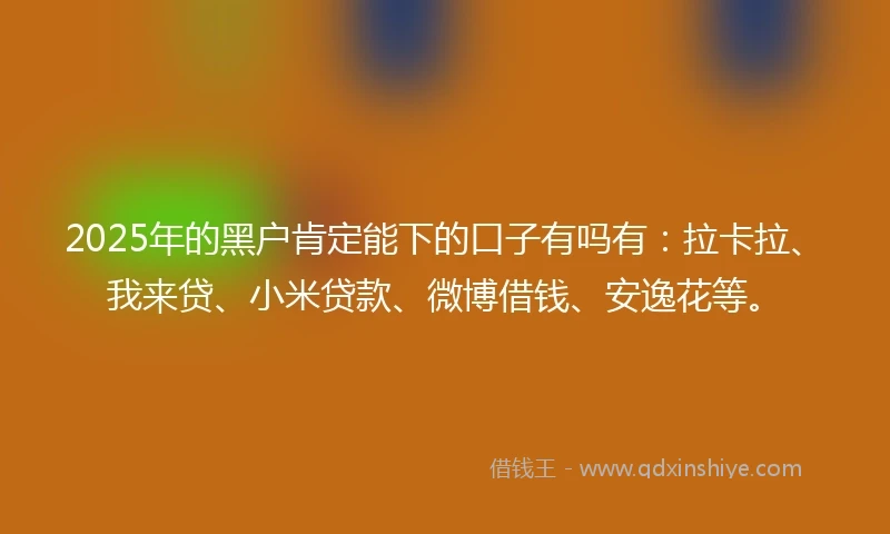 2025年的黑户肯定能下的口子有吗有：拉卡拉、我来贷、小米贷款、微博借钱、安逸花等。