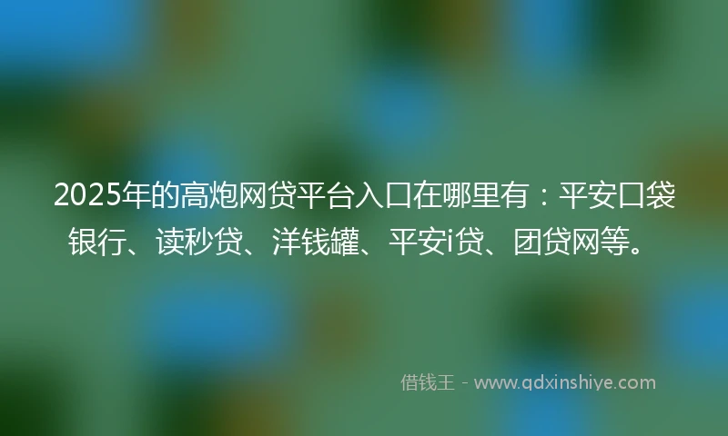 2025年的高炮网贷平台入口在哪里有：平安口袋银行、读秒贷、洋钱罐、平安i贷、团贷网等。