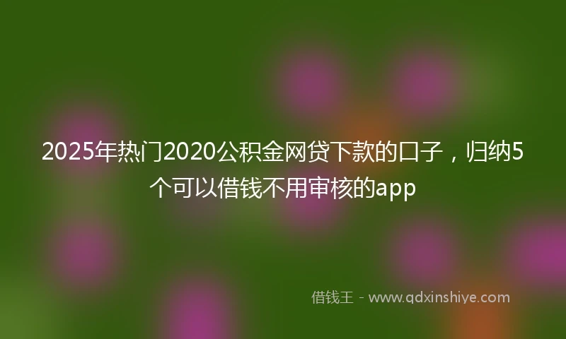2025年热门2020公积金网贷下款的口子，归纳5个可以借钱不用审核的app