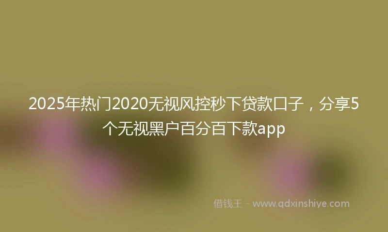2025年热门2020无视风控秒下贷款口子，分享5个无视黑户百分百下款app