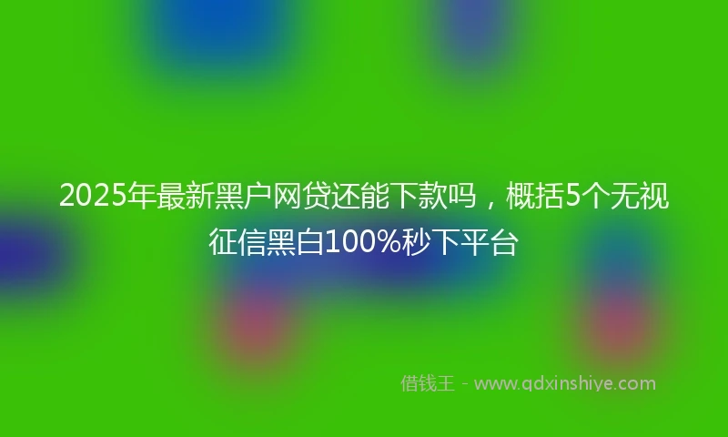 2025年最新黑户网贷还能下款吗，概括5个无视征信黑白100%秒下平台